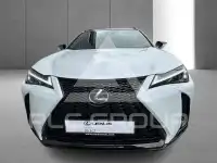 2023 Lexus UX250