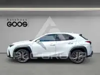 2023 Lexus UX250