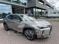 2023 Lexus UX250