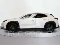 2023 Lexus UX250
