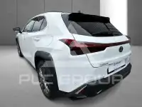 2023 Lexus UX250