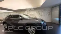 2023 Lexus UX250