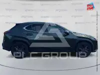 2023 Lexus UX250