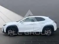 2023 Lexus UX250
