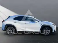 2023 Lexus UX250