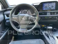 2023 Lexus UX250