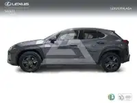 2023 Lexus UX250
