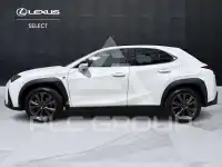 2023 Lexus UX250