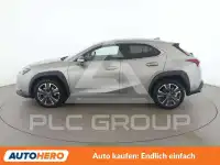 2023 Lexus UX250