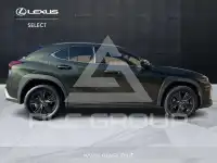 2023 Lexus UX250