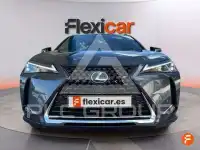 2023 Lexus UX250