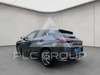 2023 Lexus UX250