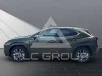 2023 Lexus UX250