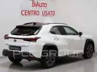 2023 Lexus UX250