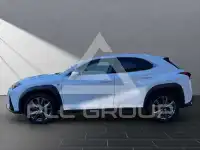 2023 Lexus UX250