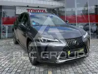 2023 Lexus UX250