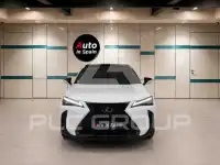 2023 Lexus UX250