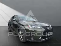 2023 Lexus UX250
