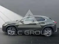 2023 Lexus UX250