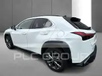 2023 Lexus UX250