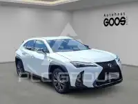 2023 Lexus UX250