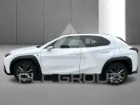 2023 Lexus UX250