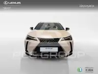 2023 Lexus UX250