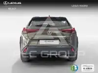 2023 Lexus UX250