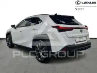2023 Lexus UX250