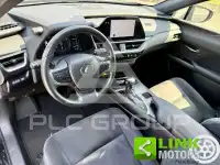 2023 Lexus UX250