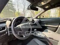 2023 Lexus UX250