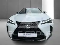 2023 Lexus UX250
