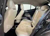 2023 Lexus UX250
