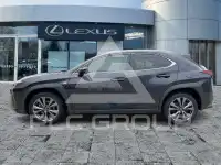 2023 Lexus UX250