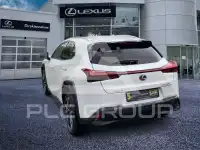 2023 Lexus UX250
