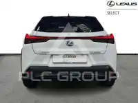 2023 Lexus UX250