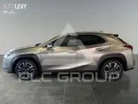 2023 Lexus UX250