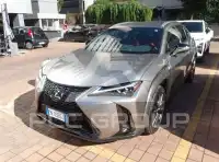 2023 Lexus UX250