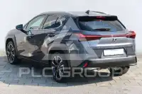 2023 Lexus UX250