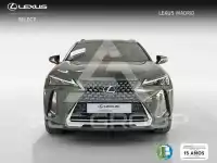 2023 Lexus UX250