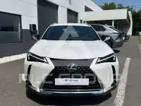 2023 Lexus UX250