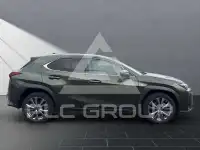 2023 Lexus UX250