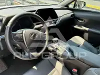 2023 Lexus UX250