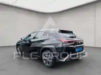 2023 Lexus UX250