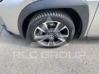 2023 Lexus UX250
