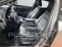 2023 Lexus UX250