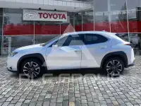2023 Lexus UX250