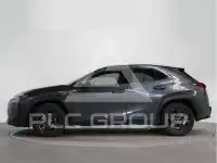 2023 Lexus UX250