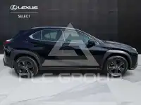2023 Lexus UX250