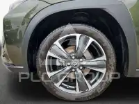 2023 Lexus UX250
